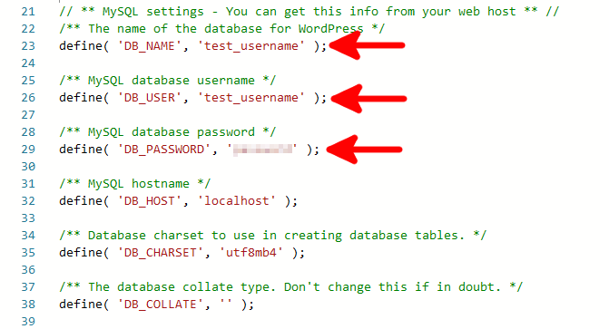 WordPress Site Launch Checklist, 4. Edit the wp-config.php file