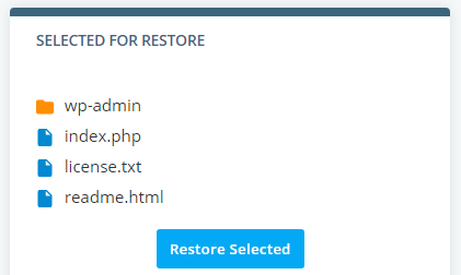 Website Backup Frequency & Restore Guide, Restoring Files and Directories 2