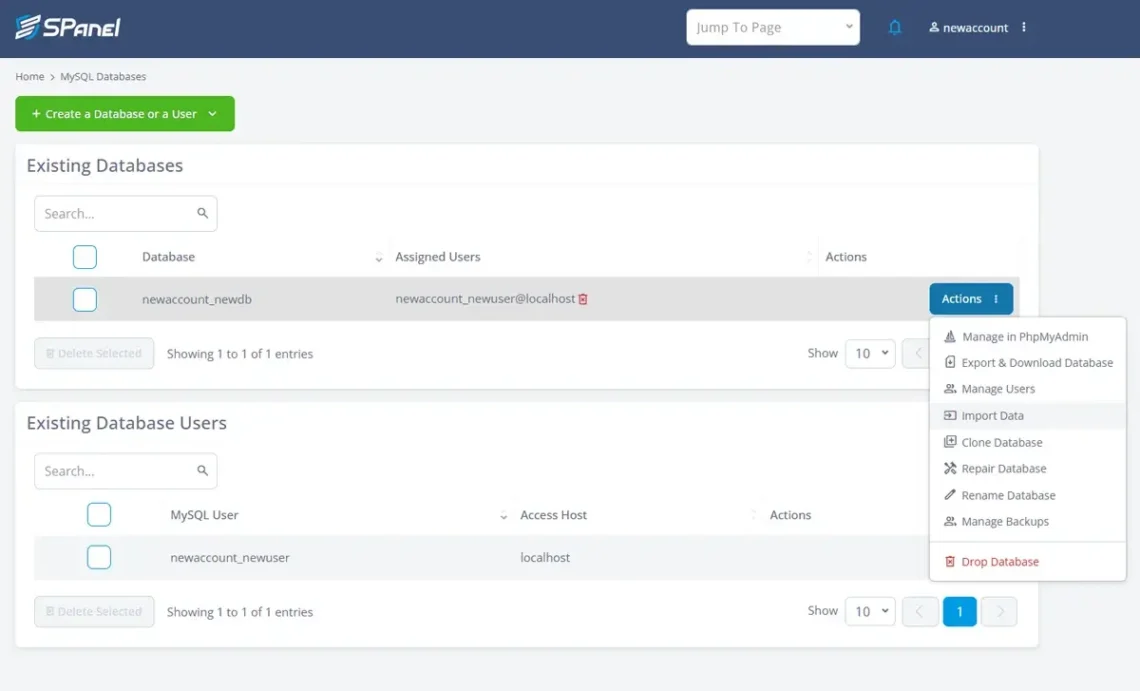 Website Migration Without Downtime: Full Checklist, 1. Through the SPanel interface