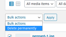 Removing Products From WooCommerce, Removing Product Images 2