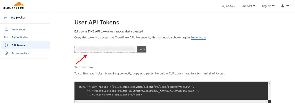 Connect Cloudflare to SPanel Website, How to Integrate Cloudflare in SPanel: Step-by-Step Guide 6