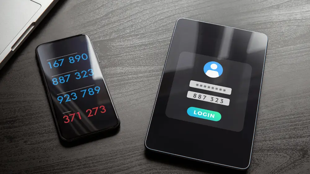 A Guide to Moodle Security, Security Risks and Vulnerabilities in Moodle (And How to Prevent Them)