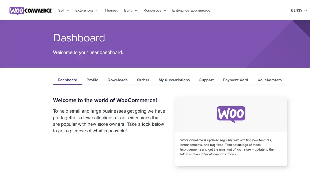 Smooth WooCommerce Launch: How to Avoid Common Mistakes, What is WooCommerce?